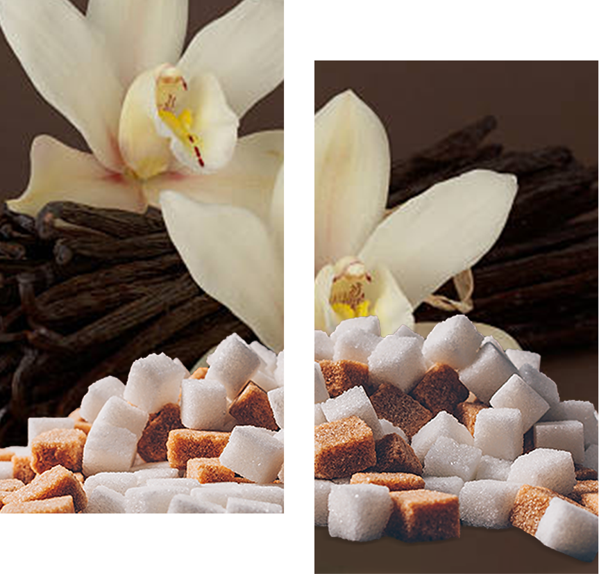 GUILTYPLEASURE_BASE_vanilla_scented_aromatic_candle